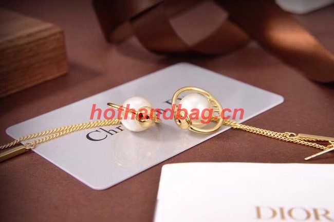 Dior Earrings CE11208