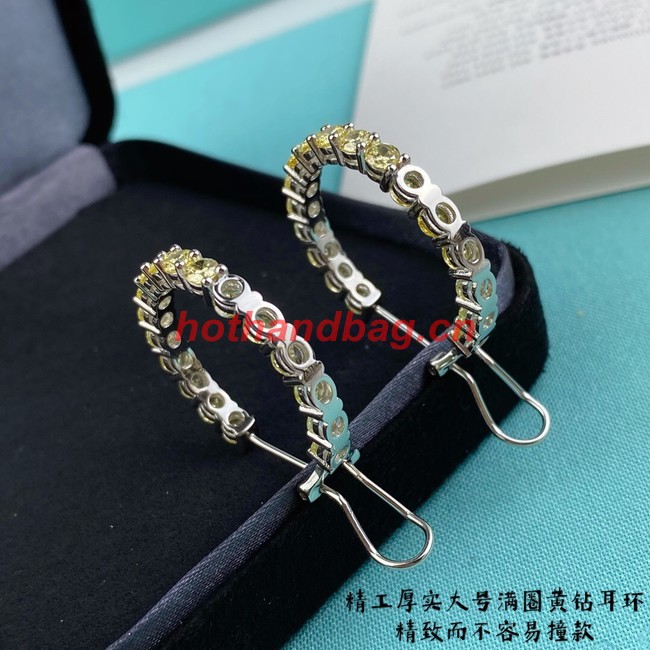 TIFFANY Earrings CE11235
