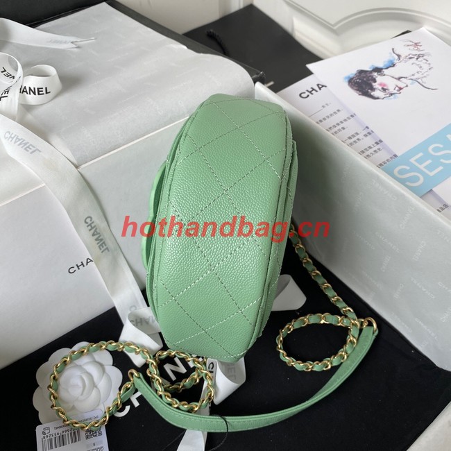 Chanel Shoulder Bag AS3867 green