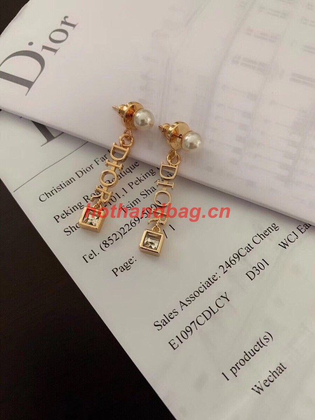 Dior Earrings CE11460