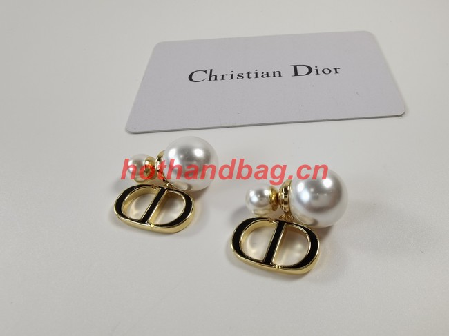 Dior Earrings CE11444