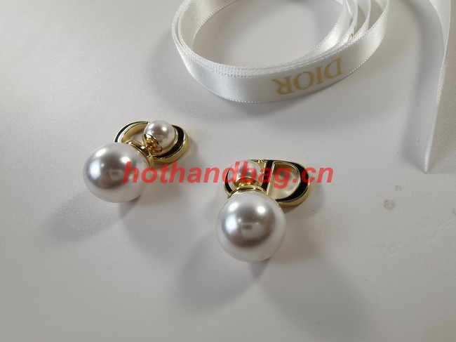 Dior Earrings CE11444