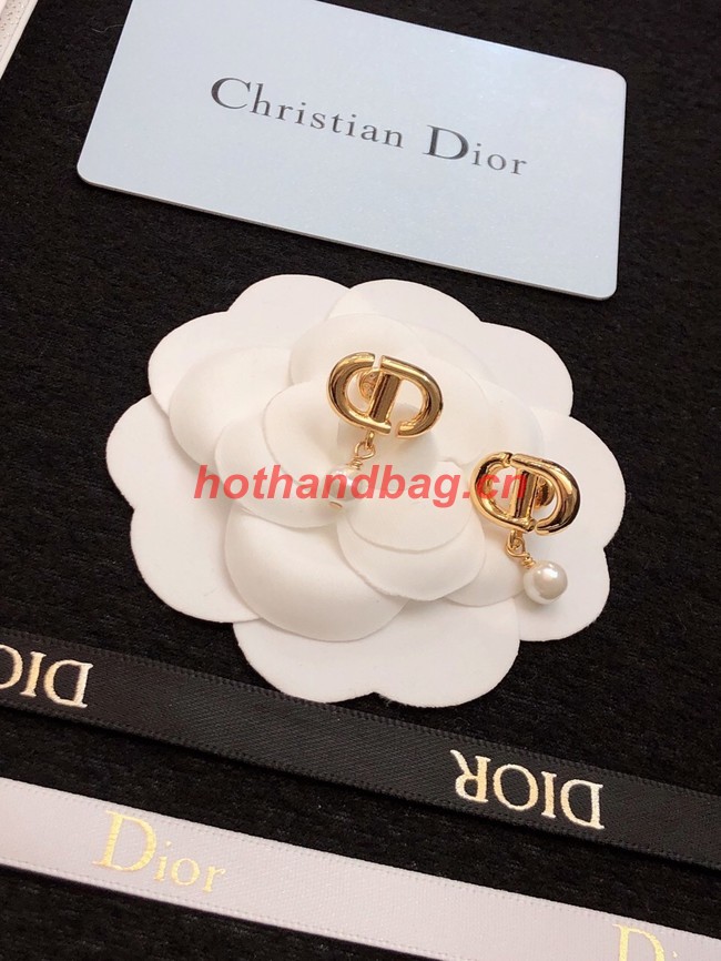 Dior Earrings CE11470