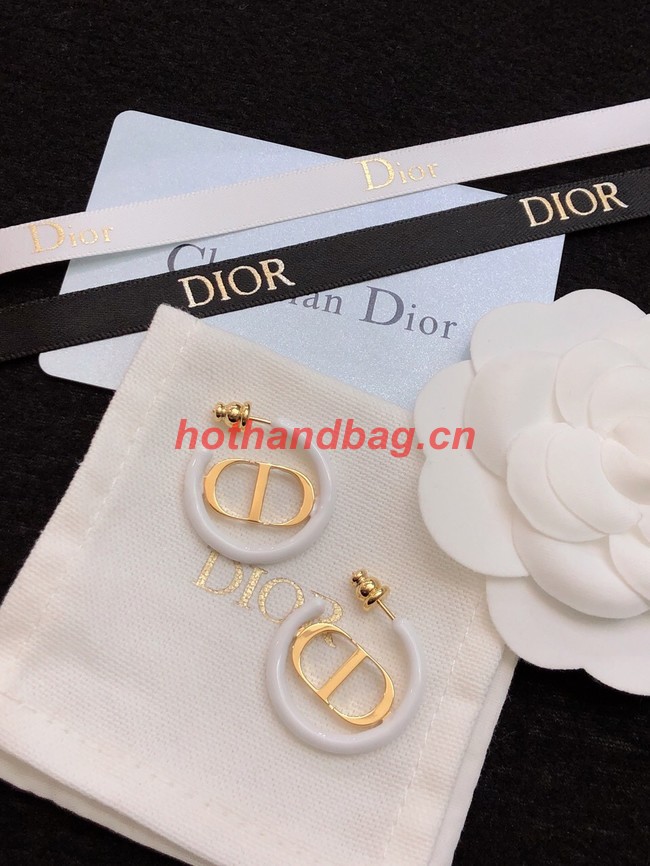 Dior Earrings CE11473