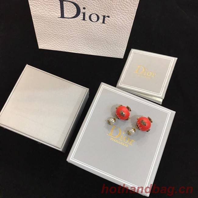 Dior Earrings CE11655