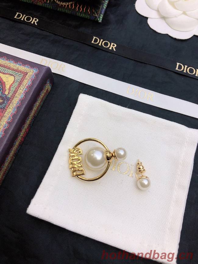 Dior Earrings CE11658