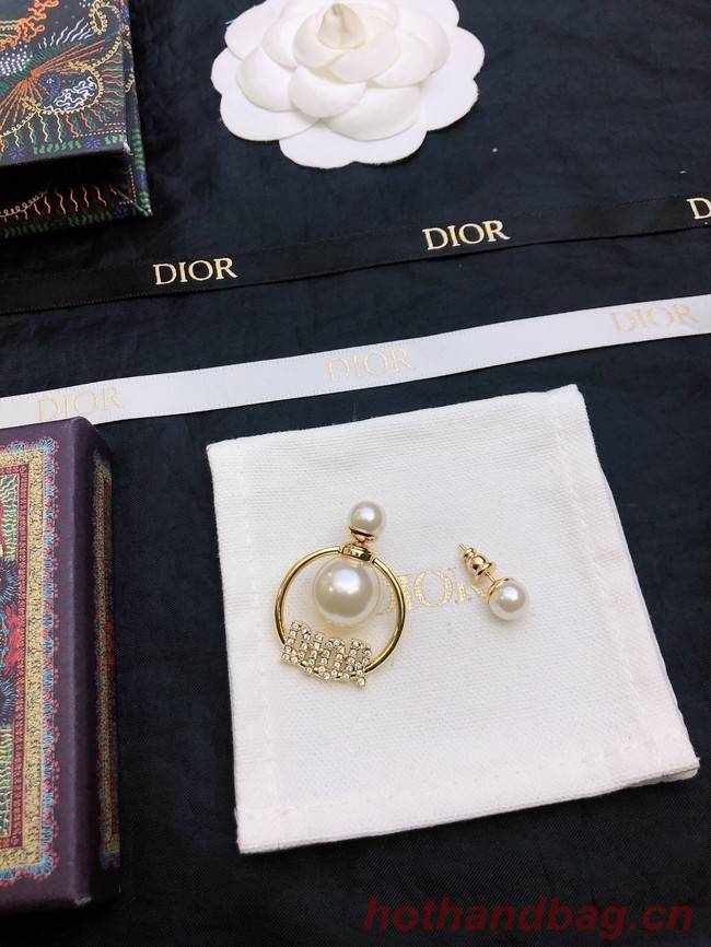 Dior Earrings CE11658