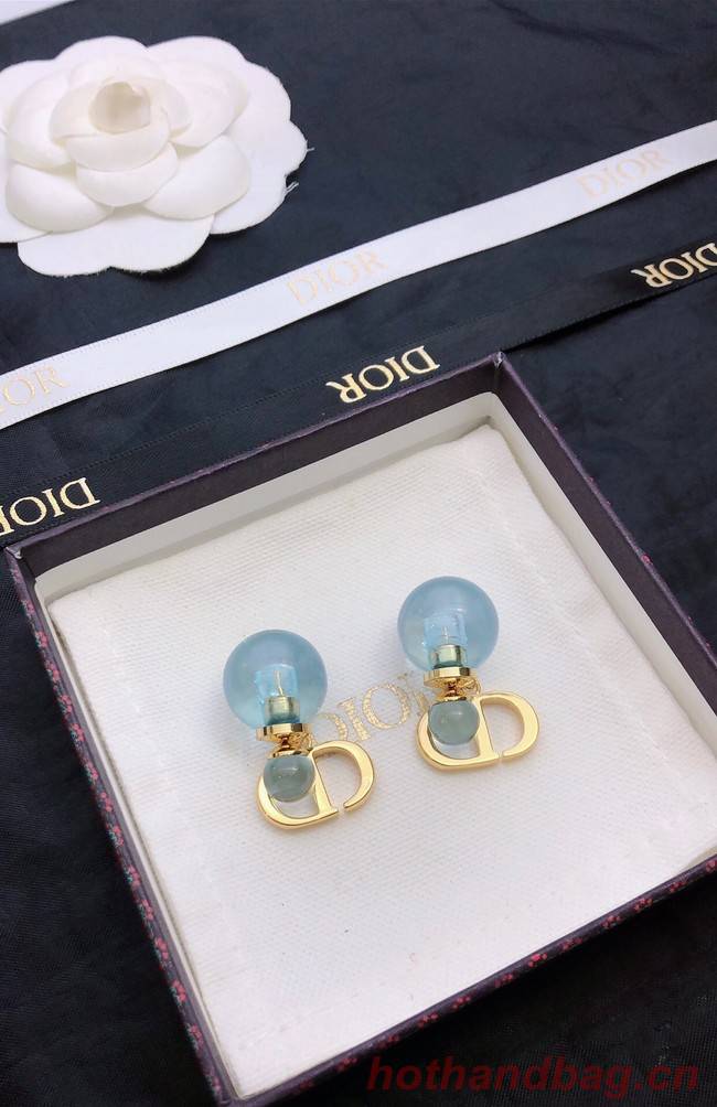 Dior Earrings CE11665