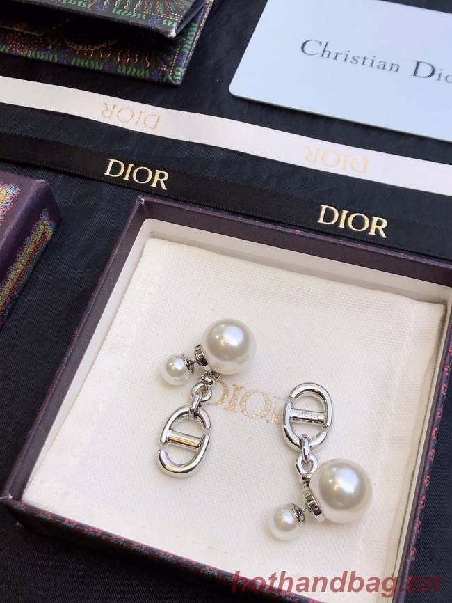 Dior Earrings CE11669