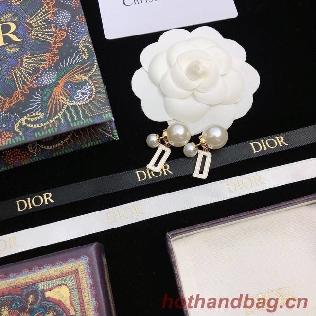 Dior Earrings CE11672