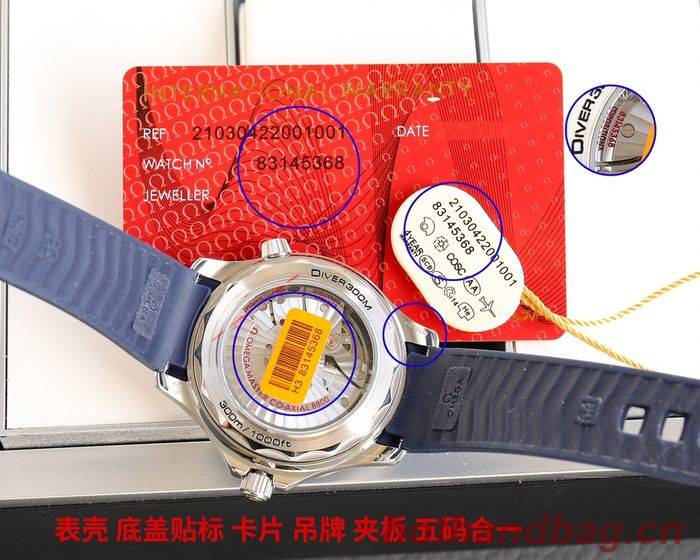 Omega Watch OMW00761
