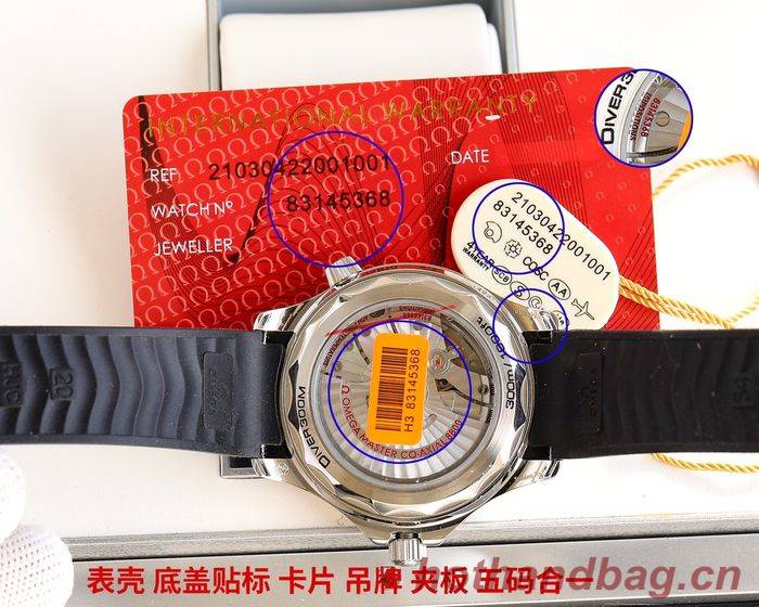 Omega Watch OMW00763