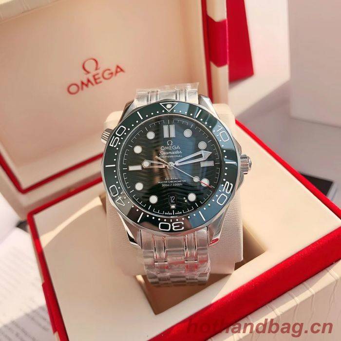 Omega Watch OMW00768