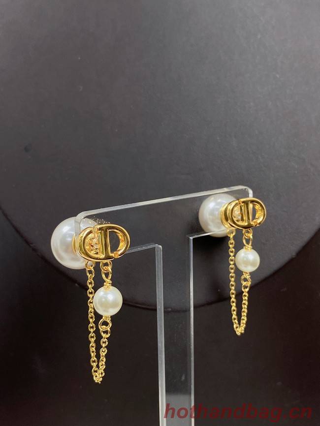 Dior Earrings CE11690