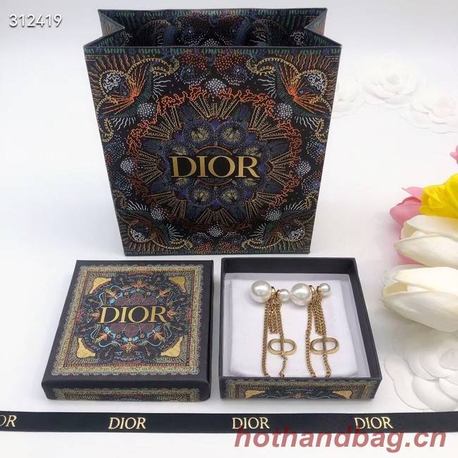 Dior Earrings CE11711