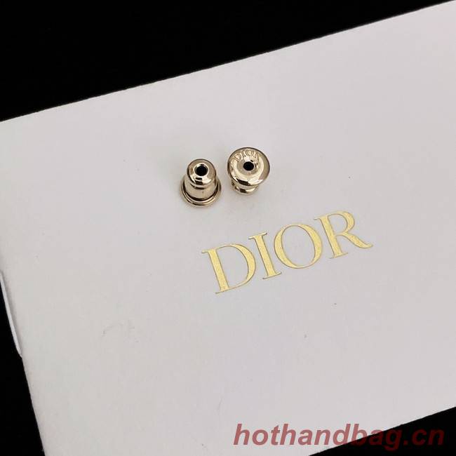 Dior Earrings CE11750