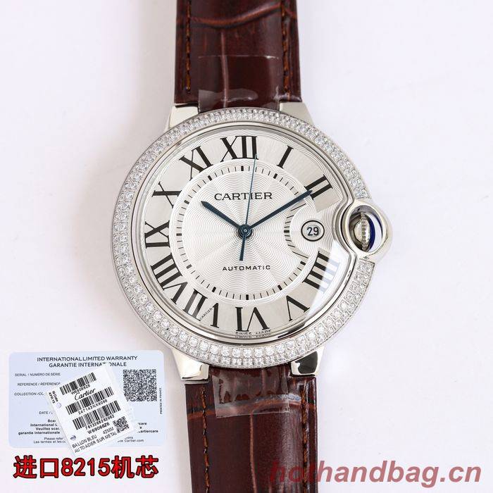 Cartier Watch CTW00481-1