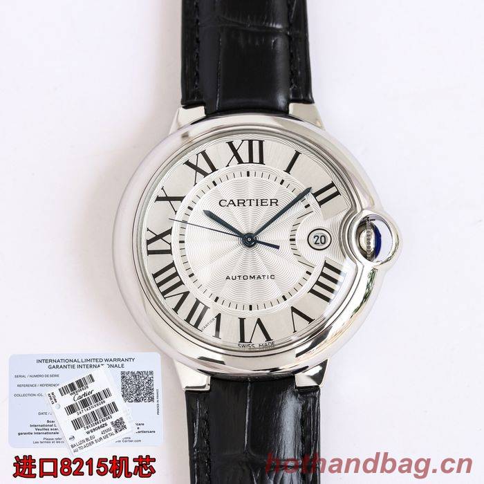 Cartier Watch CTW00481-2
