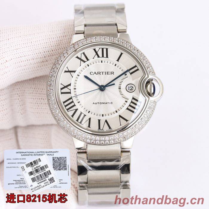 Cartier Watch CTW00481-6