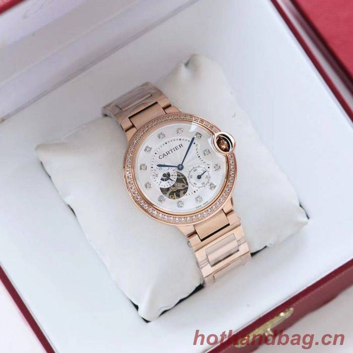 Cartier Watch CTW00513-4