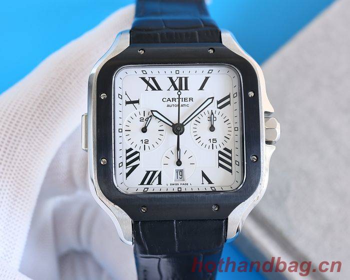 Cartier Watch CTW00516-1