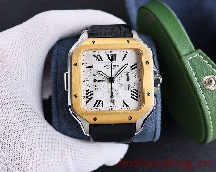 Cartier Watch CTW00518-2
