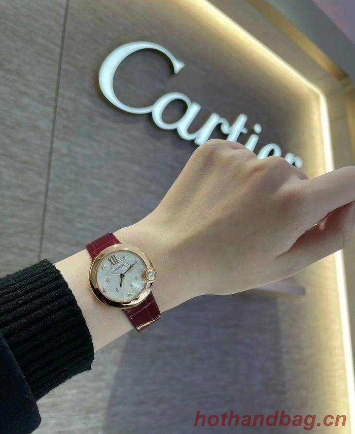 Cartier Watch CTW00660-2