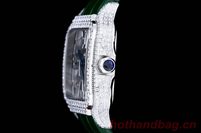 Cartier Watch CTW00666