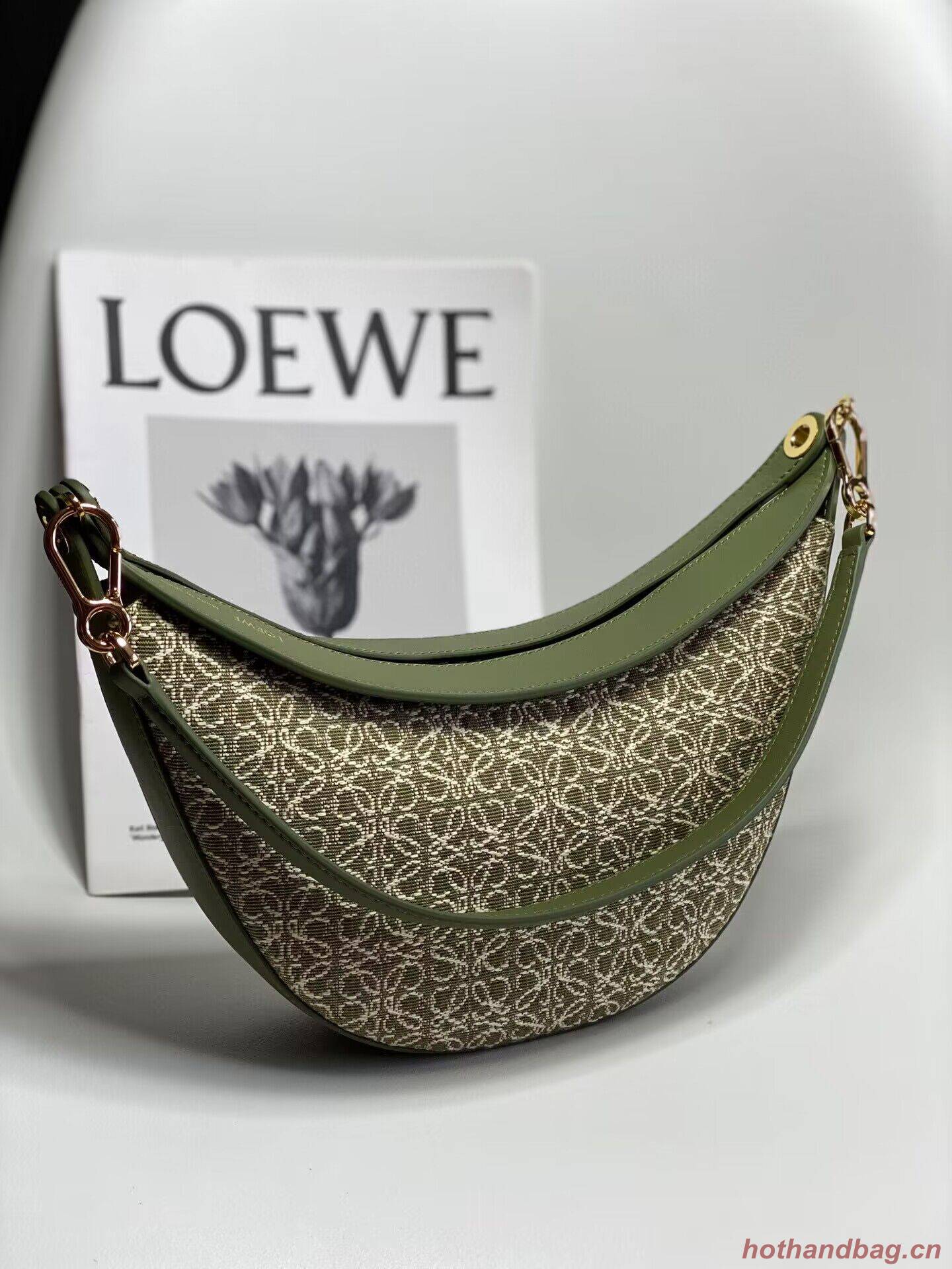 Loewe Original Leather Shoulder Handbag 3073 Green Embroidery