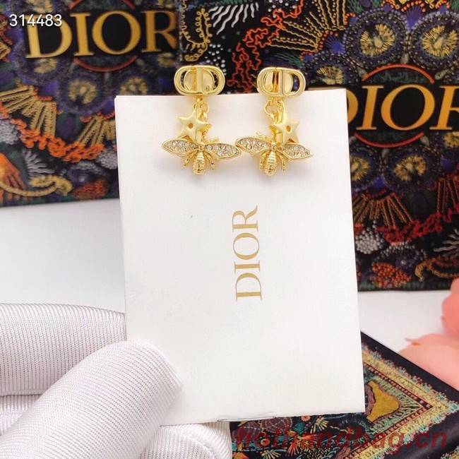 Dior Earrings CE11855
