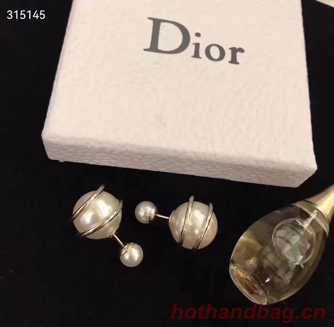 Dior Earrings CE11880
