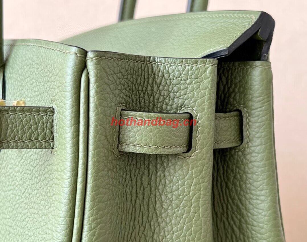 Hermes Birkin 25CM Bag Original Togo Leather 17888 Green