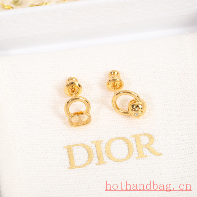 Dior Earrings CE12184