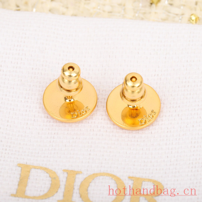 Dior Earrings CE12185