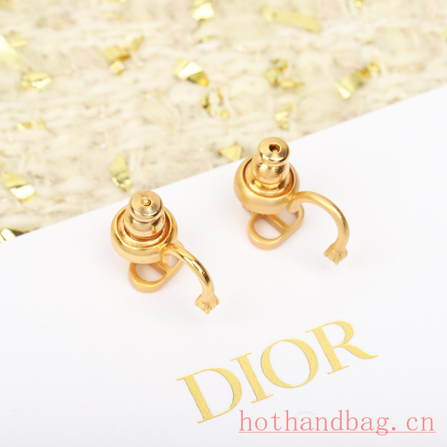 Dior Earrings CE12186