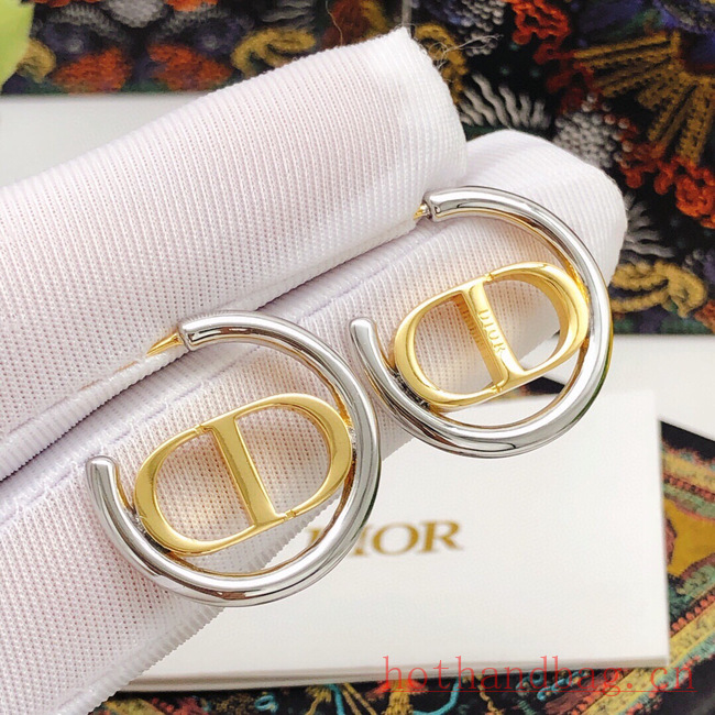 Dior Earrings CE12206