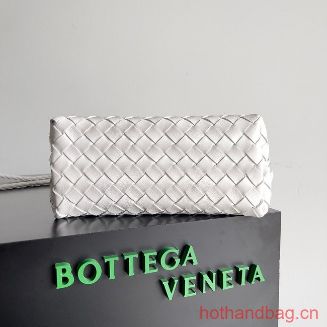 Bottega Veneta Small Andiamo 743568 white