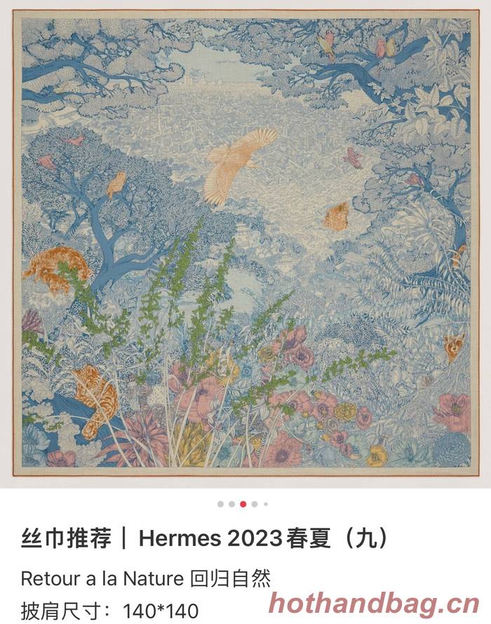 Hermes Scarf HEC00701