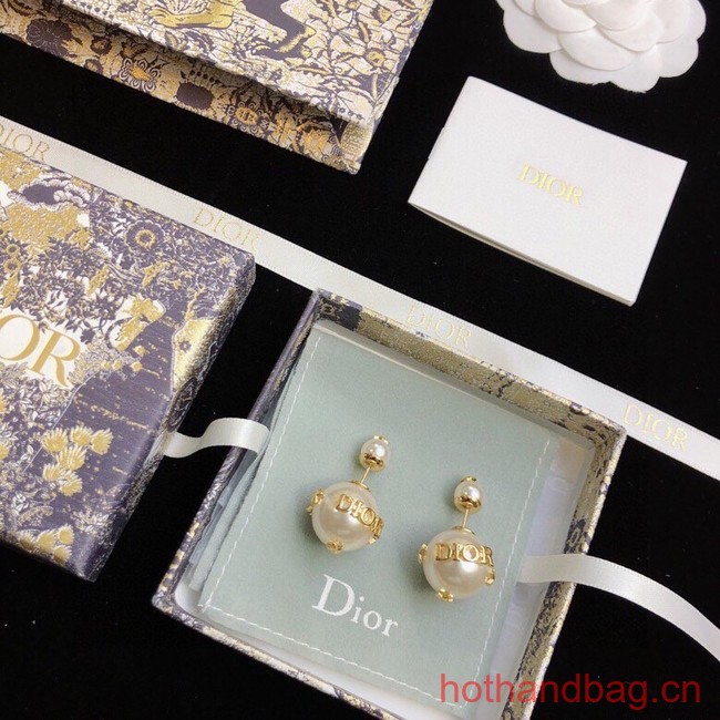 Dior Earrings CE12326