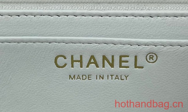 Chanel CLASSIC HANDBAG A1116 WHITE