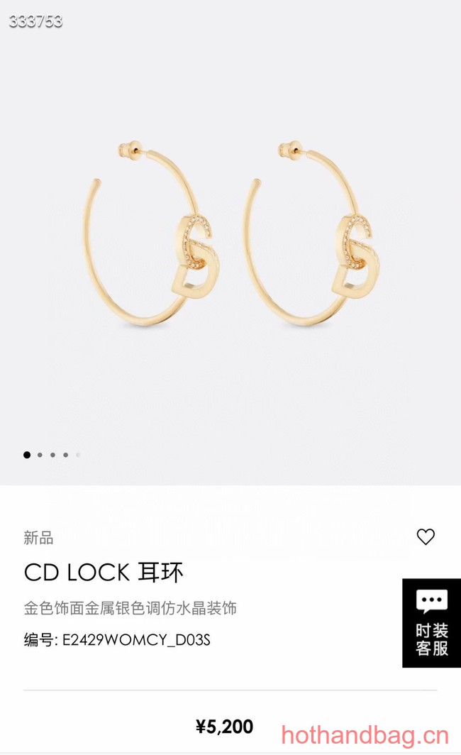 Dior Earrings CE12540