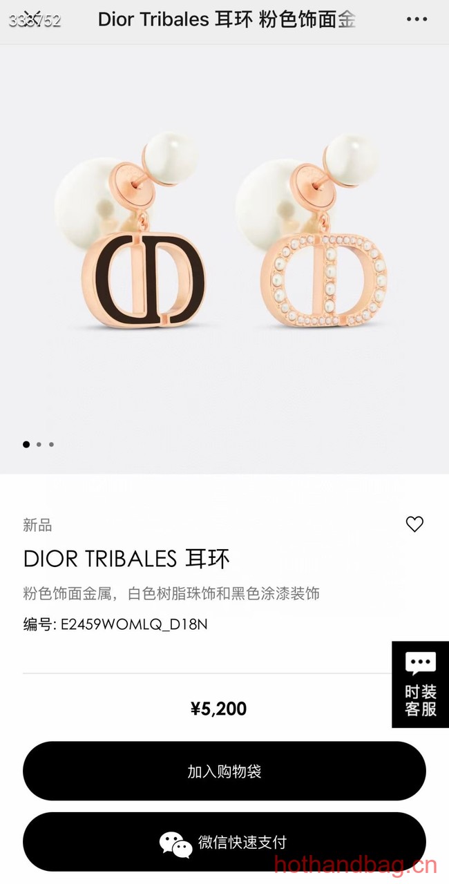 Dior Earrings CE12542