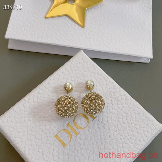 Dior Earrings CE12571