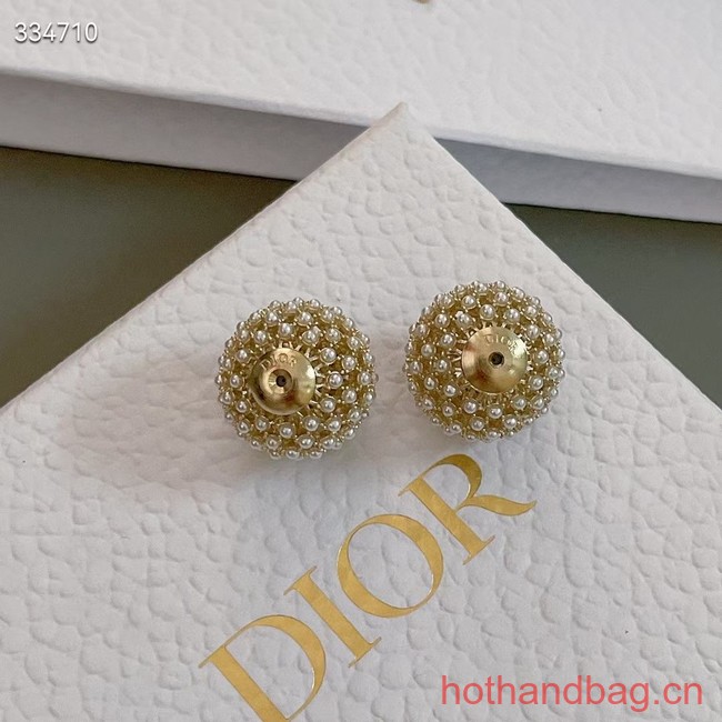 Dior Earrings CE12571