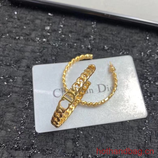 Dior Earrings CE12598