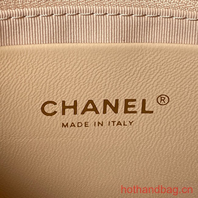 Chanel LARGE HOBO BAG AS4287 Apricot