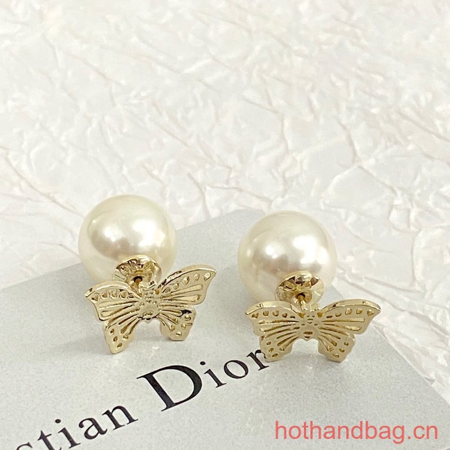 Dior Earrings CE12695