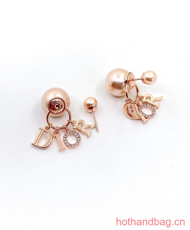 Dior Earrings CE12834
