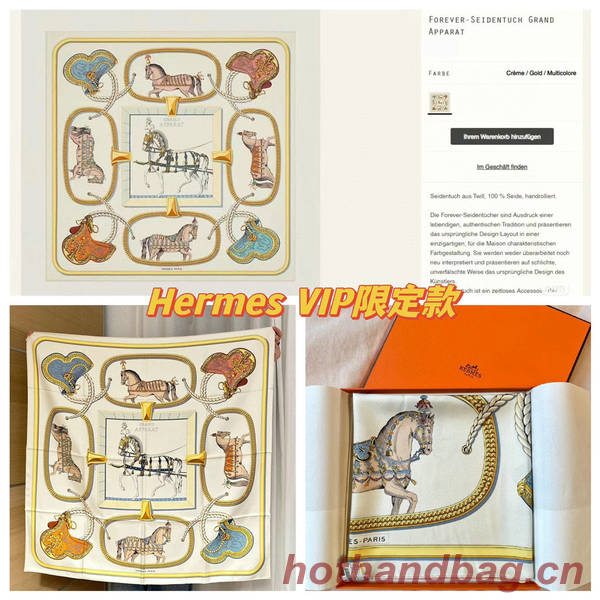 Hermes Scarf HEC00790