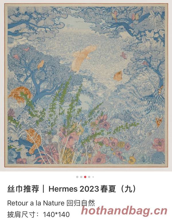 Hermes Scarf HEC00922